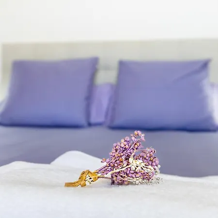 Casa Do Mercado 公寓